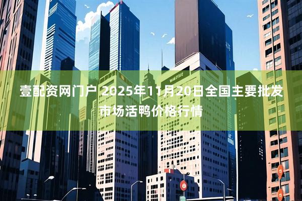 壹配资网门户 2025年11月20日全国主要批发市场活鸭价格行情