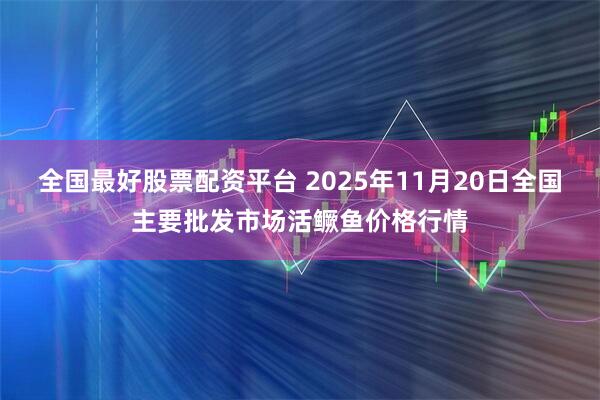 全国最好股票配资平台 2025年11月20日全国主要批发市场活鳜鱼价格行情