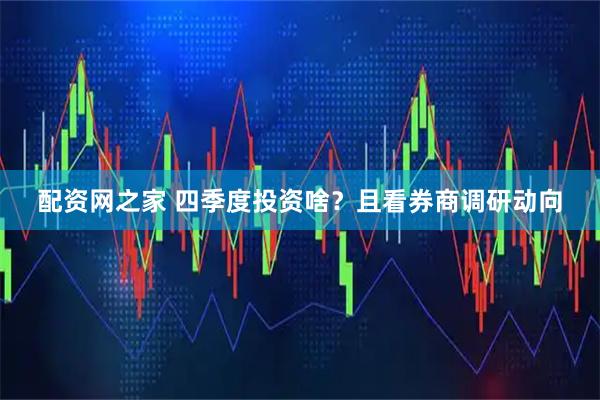 配资网之家 四季度投资啥？且看券商调研动向